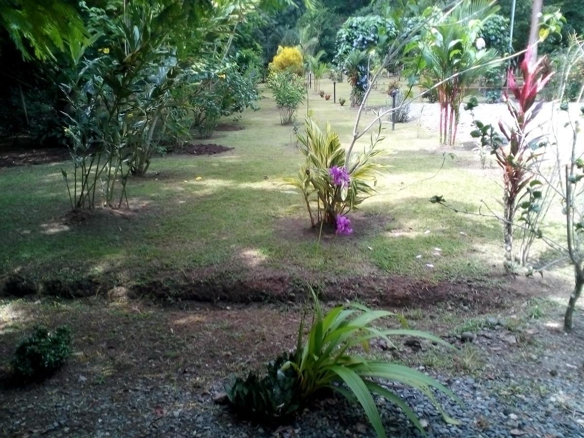 Puerto Vargas Lodge Cahuita Εξωτερικό φωτογραφία